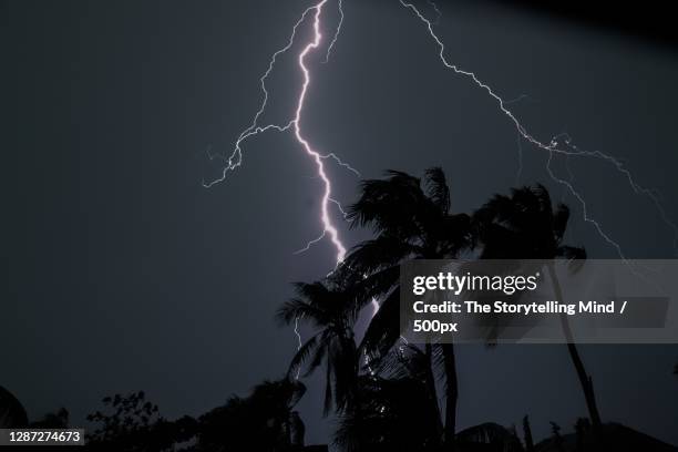 low angle view of lightning in sky at night,kolkata,west bengal,india - west bengal stock-fotos und bilder