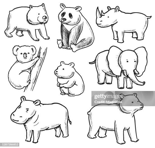 stockillustraties, clipart, cartoons en iconen met overgewicht dieren doodles set - koala