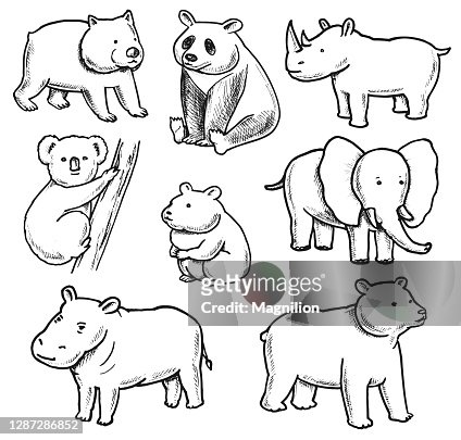 Overweight Animals Doodles Set High-Res Vector Graphic - Getty Images