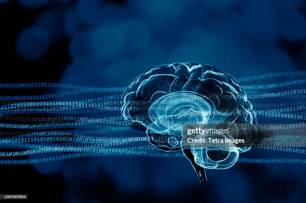 Brain Abstract Simple Abstract Illustration Of Human Brain High-Res Stock Photo - Getty Images