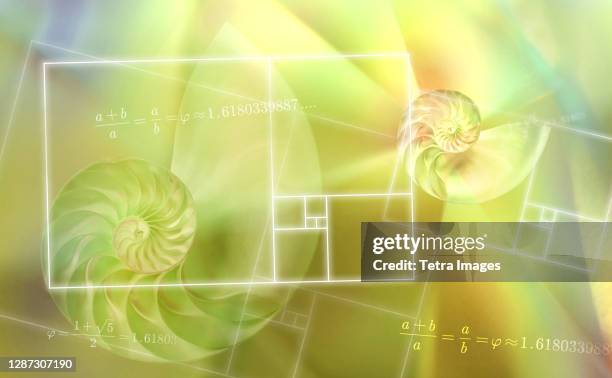 digitally generated golden ratio diagrams - golden ratio stock pictures, royalty-free photos & images