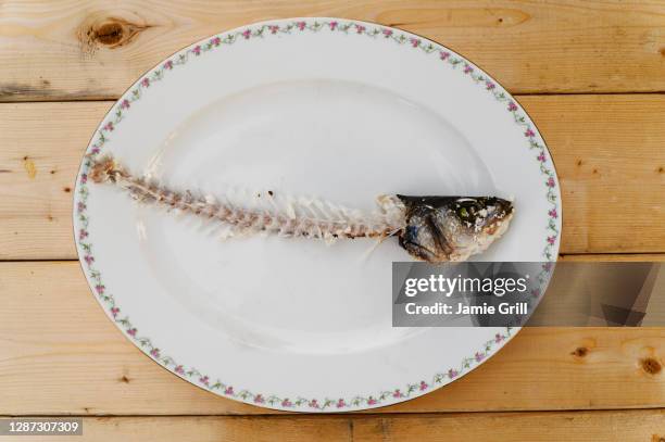 fish skeleton on plate - tierknochen stock-fotos und bilder