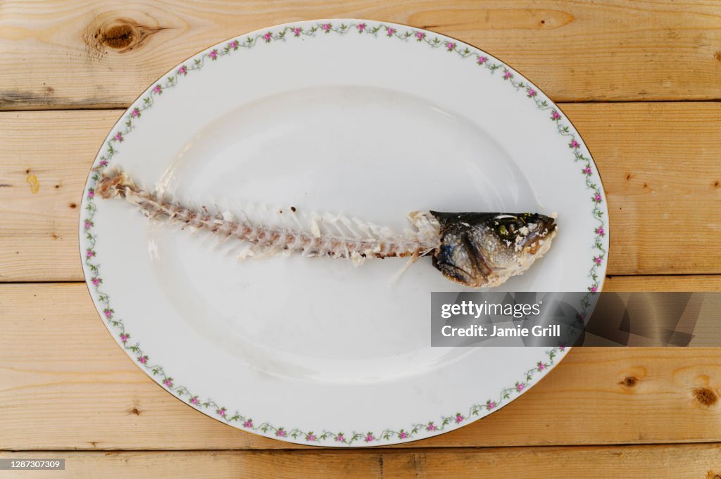 Fish skeleton on plate