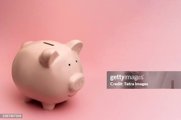 piggy bank on pink background - piggy bank stock pictures, royalty-free photos & images