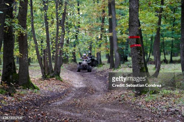 a man on atv, race through the forest, a high hill. - atv trail stockfoto's en -beelden