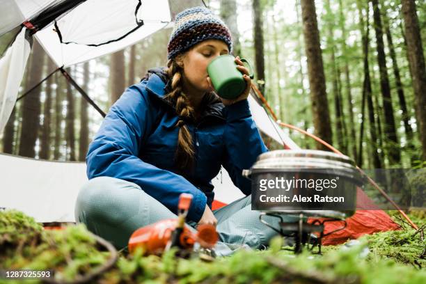 a blonde haired young women sits in front of her camping tent in a lush rainforest with a camp stove and pot steaming in front of her drinks a warm beverage from a mug - wilderness camping stock pictures, royalty-free photos & images