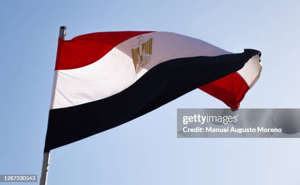 waving flag of egypt - ägyptische flagge stock-fotos und bilder