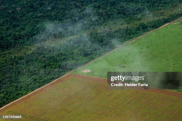 amazon forest edge - deforestation stockfoto's en -beelden
