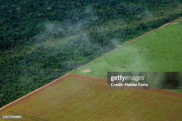 amazon forest edge - deforestation bildbanksfoton och bilder