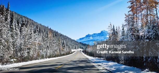 11 Poplar Ridge Alberta Stock Photos, HighRes Pictures, and Images