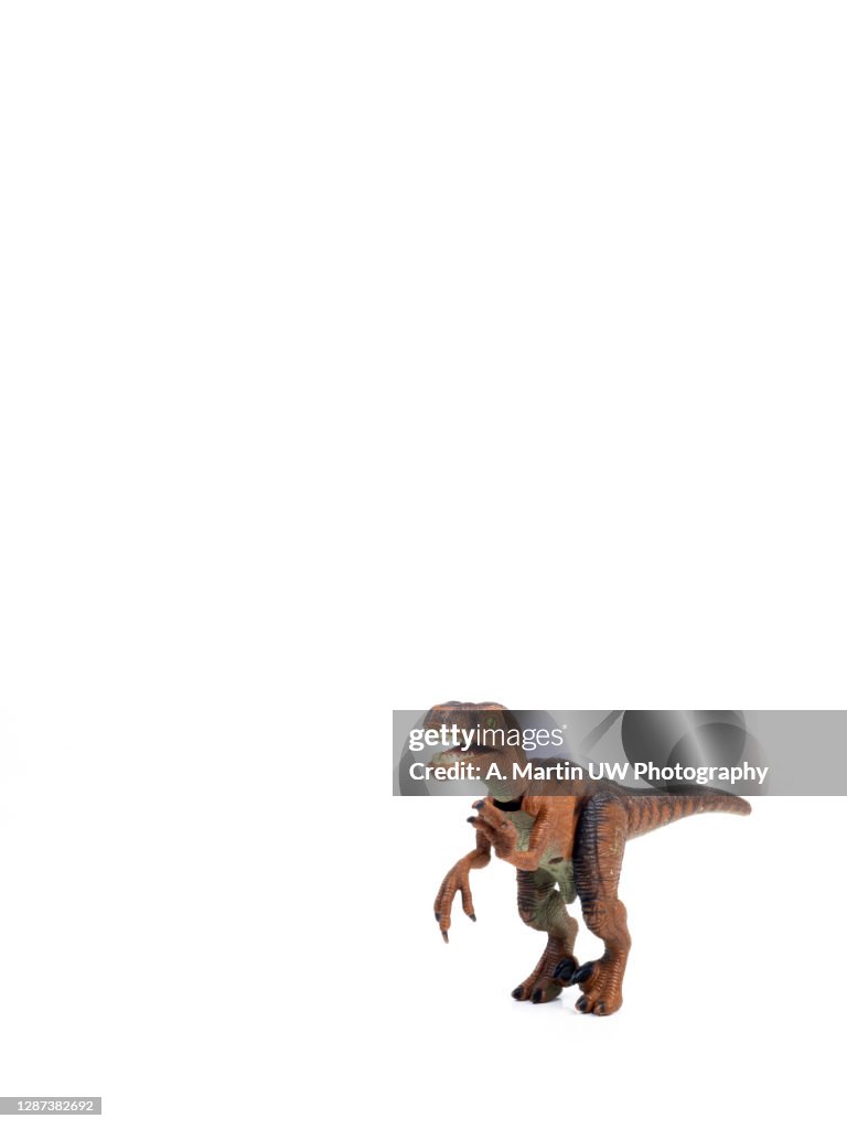 Toy plastic dinosaur on white background
