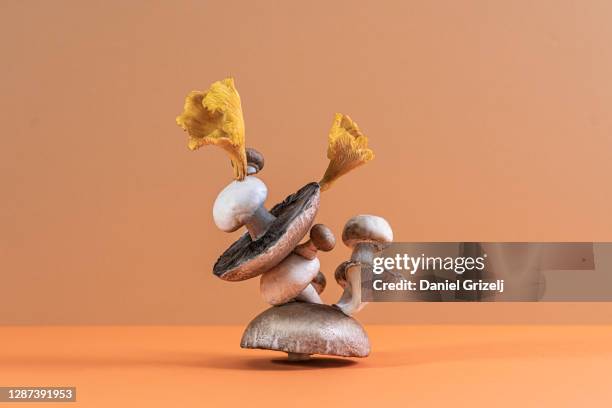 mushrooms - food sculpture stock pictures, royalty-free photos & images
