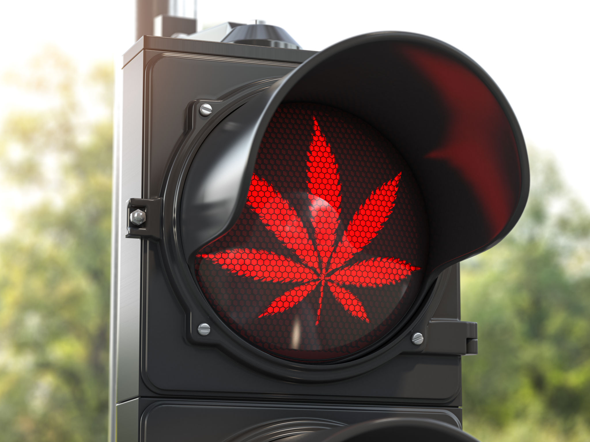 cannabis safety