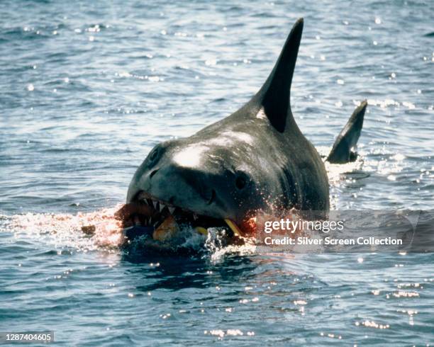 The shark bites through an inflatable lilo, having eaten young Alex Kintner in a publicity still from the blockbuster film 'Jaws', 1975.