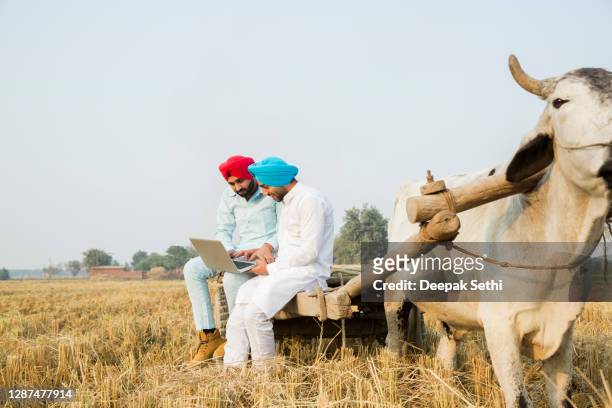 6,916 Punjab Village Photos and Premium High Res Pictures - Getty Images