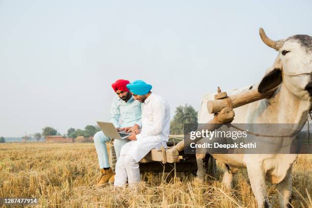 6,916 Punjab Village Photos and Premium High Res Pictures - Getty Images 6,916 Punjab Village Photos and Premium High Res Pictures - Getty Images