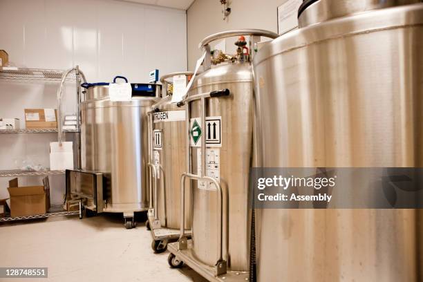 tanks of nitrogen sit in a laboratory - nitrogen stock pictures, royalty-free photos & images
