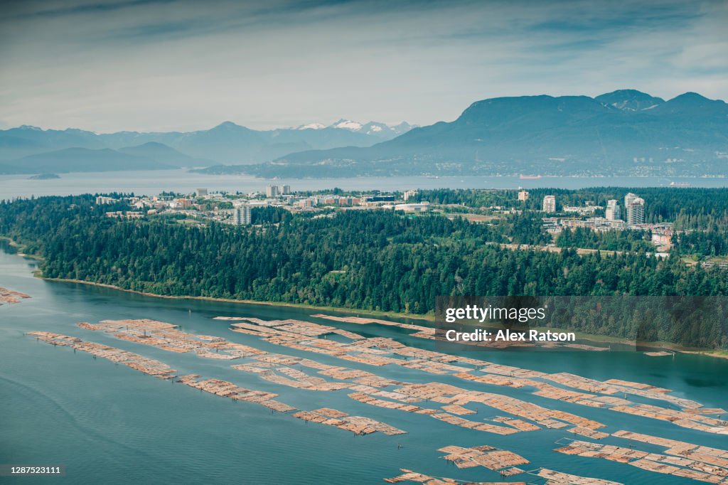 Aerial view of log booms in the mouth of the Fraser River
