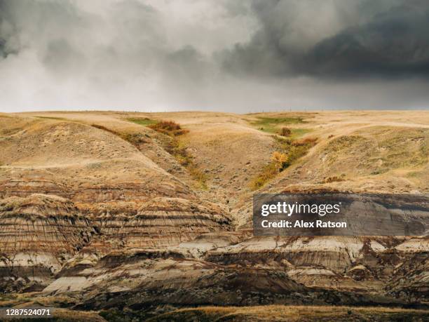 open prairies as seen near drumheller alberta - dinosaur provincial park imagens e fotografias de stock