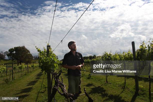 Adrian Brayne walks along what remains of his bushfire-affected vineyard at Obsession Wines on November 24, 2020 in Tumbarumba, Australia....