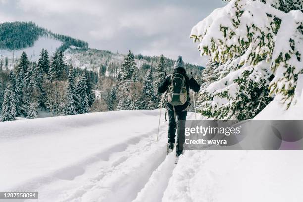 捷克波希米亞越野滑雪 - 北歐滑雪項目 個照片及圖片檔