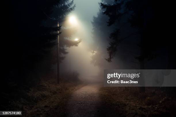 dirt road in a dark and foggy forest - preguntas fotografías e imágenes de stock