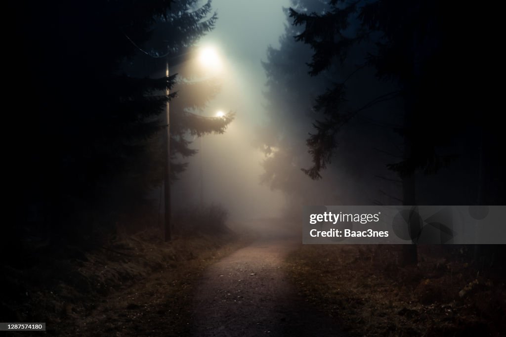 Dirt road in a dark and foggy forest