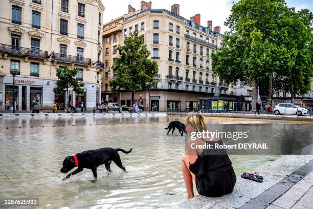 Une femme avec ses chiens profite de la fraicheur des bassins du centre lors de la canicule le 25 Juin 2019 à Lyon, France.