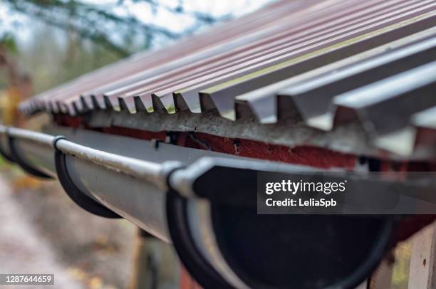 gutter with dry fallen leaves - dakgoot stockfoto's en -beelden