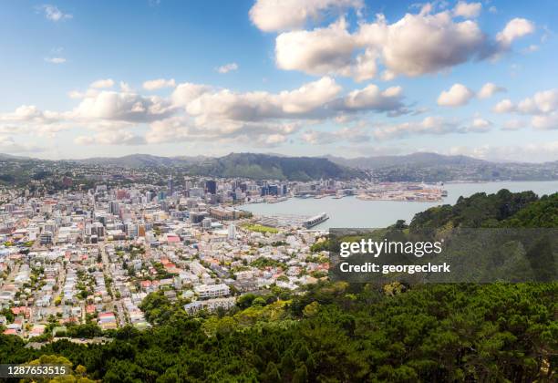 wellington, nieuw-zeeland - wellington nieuw zeeland stockfoto's en -beelden