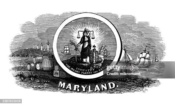 old engraved illustration of seal of maryland us state, united states of america (usa) - maryland state seal stock pictures, royalty-free photos & images