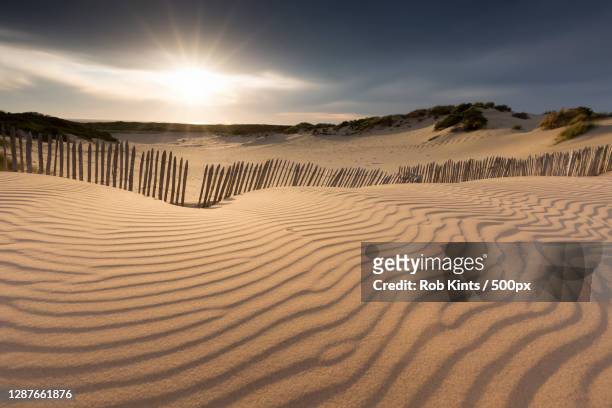 scenic view of desert against sky,kijkduin,den haag,netherlands - scheveningen stock-fotos und bilder