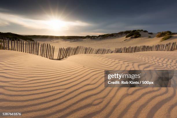 scenic view of desert against sky,kijkduin,den haag,netherlands - scheveningen bildbanksfoton och bilder