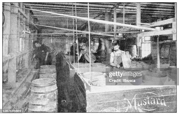 antique black and white photograph of new york: food industry mustard - mustard sauce stock illustrations