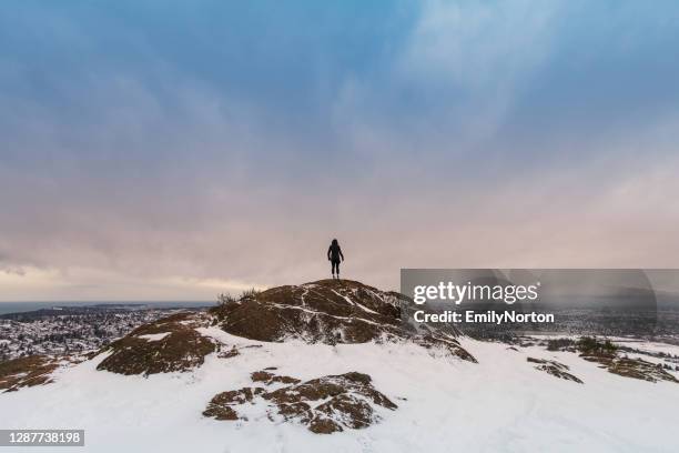 genieten van een besneeuwde dag op zuid-vancouver island - victoria canada stockfoto's en -beelden