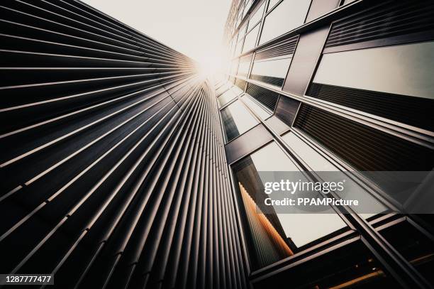 office skysraper in the sun - frankfurt main tower stock pictures, royalty-free photos & images