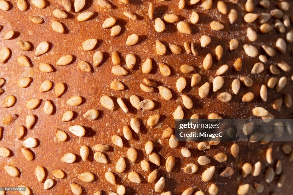 Sesame Seed Bun Macrophotography
