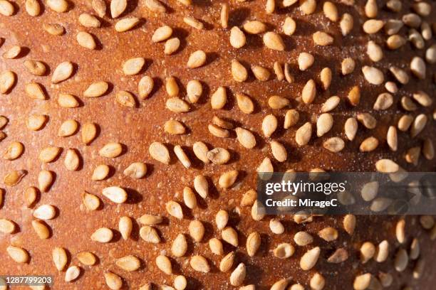 sesame seed bun macrophotography - sesamfrö bildbanksfoton och bilder