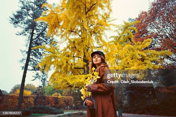 mulher andando no parque no outono - ginkgo tree - fotografias e filmes do acervo