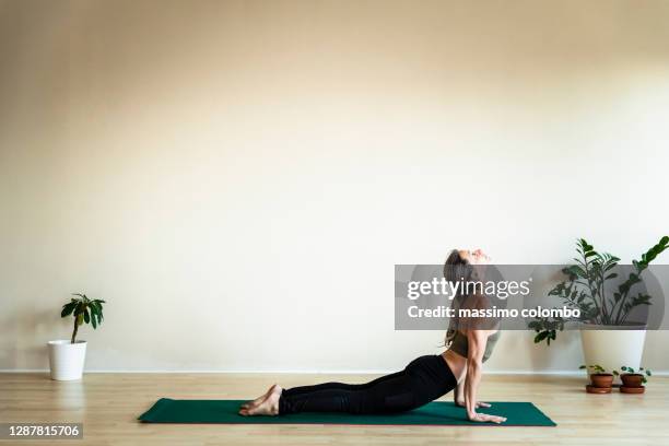 master yoga woman doing poses on mat in the home gym, dog pose (urdhva mukha svanasana). - acrobatic yoga stock-fotos und bilder