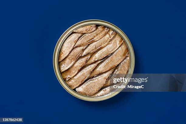 opened sardine can - stacked canned food stock pictures, royalty-free photos & images