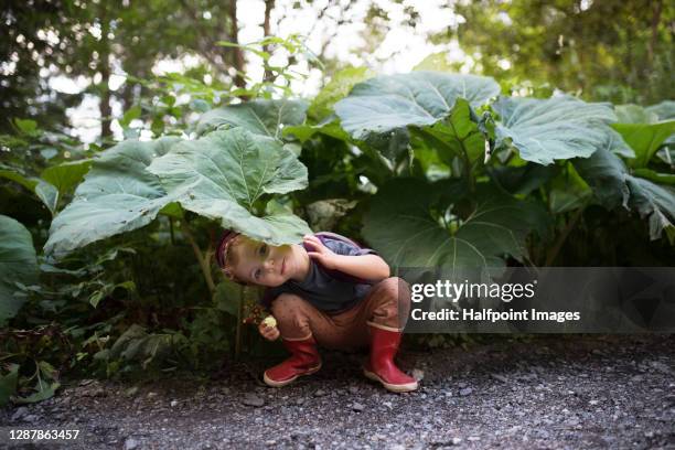 portrait of small girl in forest in nature on holiday, playing. - girl wearing boots stock pictures, royalty-free photos & images