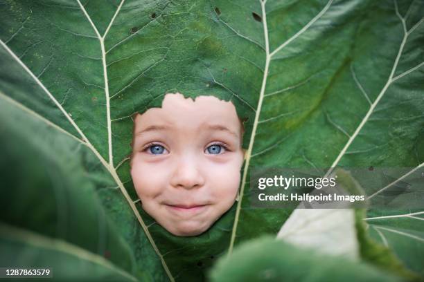 portrait of small girl in forest in nature on holiday, playing. - big head stock pictures, royalty-free photos & images