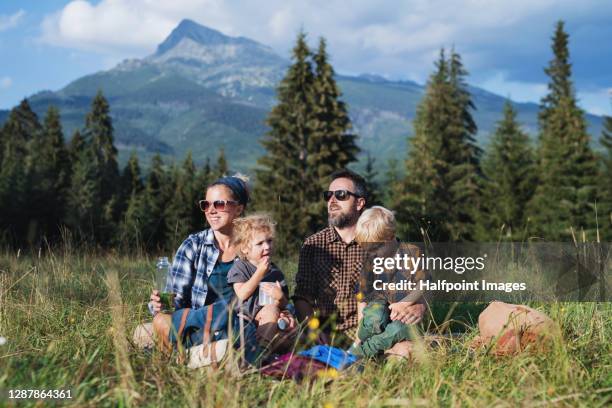 front view of family with two small children hiking in nature on holiday, resting. - slovakia country stock pictures, royalty-free photos & images