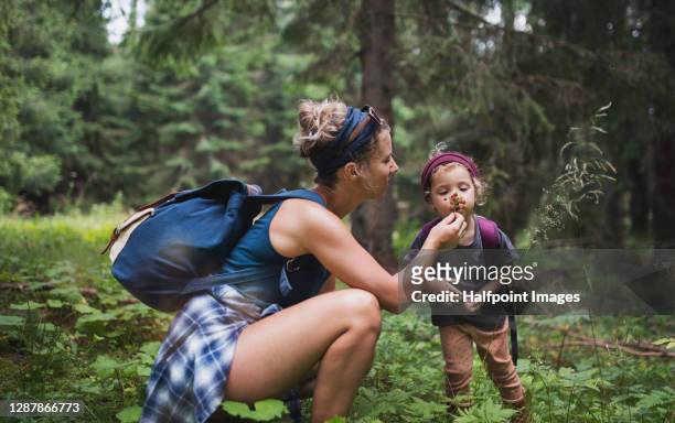 mother with small girl in forest in nature on holiday, picking wild strawberries. - 4 life natural foods stock-fotos und bilder