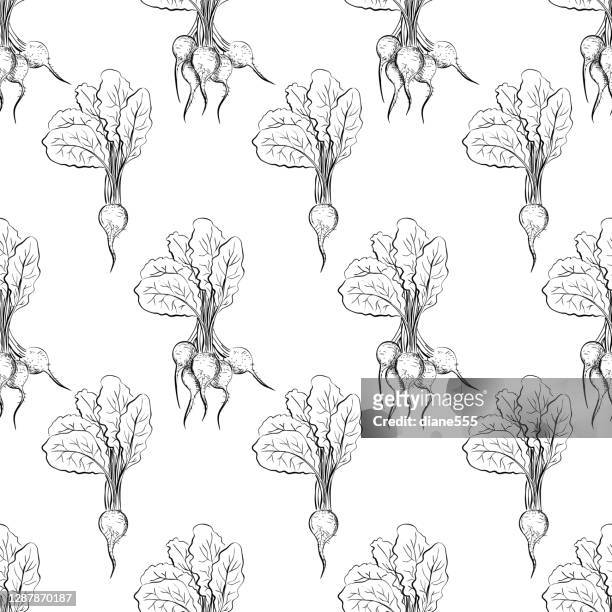 hand drawn line art healthy eating food pattern of beets - beet stock illustrations