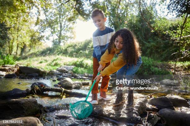 small boy and girl catching fish in river with net - fish pond stock pictures, royalty-free photos & images