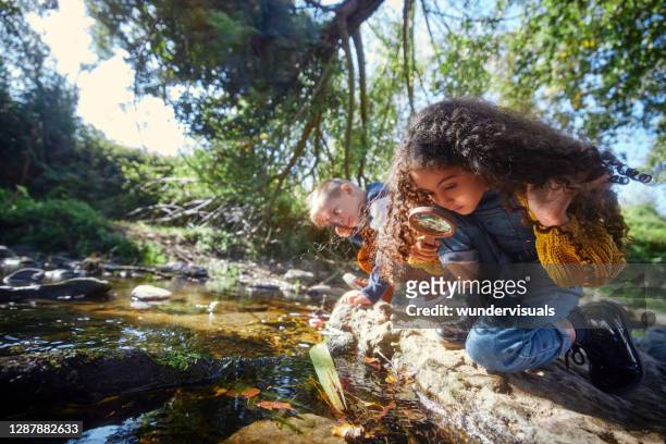 bambino e ragazza che guardano il fiume con lente d'ingrandimento - esplorazione foto e immagini stock