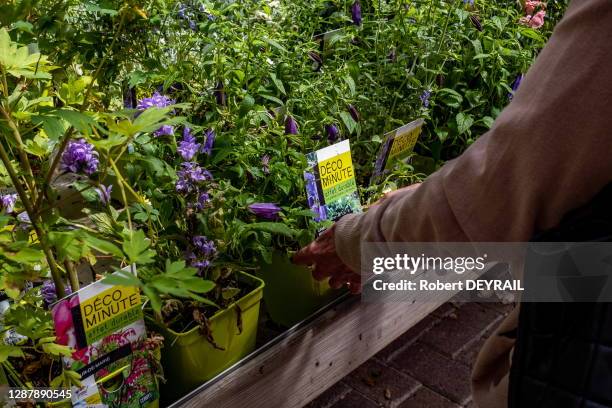 Main d'une cliente dans un rayon de la jardinerie "Botanic" après le déconfinement qui suit l'épidémie de coronavirus Covid-19, le 19 mai 2020 à...