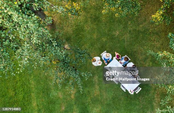 aerial view of multi-generation family on outdoor summer garden party, celebrating birthday. - aerial view stock pictures, royalty-free photos & images